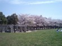 周辺環境で選ぶなら・・・