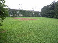 【賃貸　ブログ】王子　飛鳥山公園は有名ですが穴場の公園が・・・・・