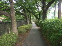 【賃貸　ブログ】アパートの前が散歩道兼ジョギングコースです