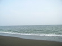 賃貸ブログ　茅ヶ崎　サザンビーチ