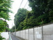 賃貸ブログ　新大塚　東池袋　豊島ケ岡御陵の緑で空気が違いました