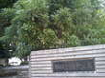 マチナカ情報　：　西池袋　上り屋敷公園