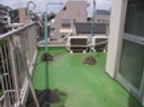 賃貸ブログ目白・池袋　部屋より広いルーフバルコニーとはもしやペントハウス！？