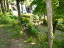 賃貸ブログ　公園付？1ＤＫアパートとは　有楽町線/副都心線・千川にありました