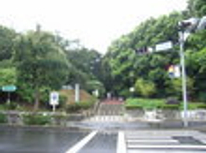 賃貸　ブログ　未知との遭遇　巨大公園編