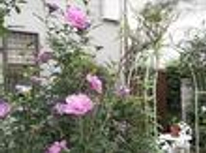 中目黒・祐天寺の女性専用プチマンション　１Ｋ