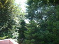 賃貸ブログ　千川　礼金０敷金０　1Ｋバストイレ別　高台の南西角部屋で眺望も良好