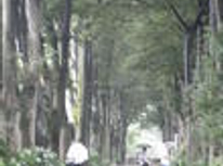 吉祥寺　23㎡・共益費込み6万円の1Kアパート