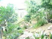 賃貸ブログ　赤羽・十条　ワンルーム　ロフト付　ガーデン（庭）もあります