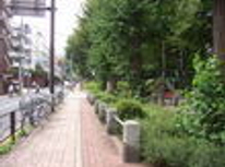 賃貸ブログ　茗荷谷　小石川植物園の緑が眩しいお部屋です