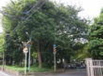 賃貸ブログ　住むならやはり上り屋敷公園そばの目白/池袋ですよ