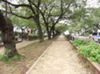 賃貸ブログ　人気の茗荷谷で4万円台のシャワー付きこれはニュースです