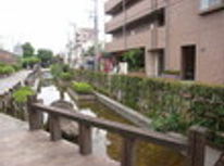 賃貸　ブログ　只今注目　下町の雄　日暮里編