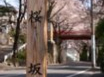 賃貸ブログ　田園調布　ワンフロア一世帯　