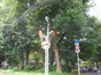 賃貸ブログ　目白・池袋　2ＬＤＫ　最上階　上り屋敷公園の近く、住環境良好