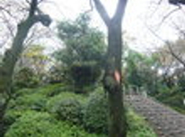 賃貸ブログ　駒込駅3分　小鳥の囀りで目覚められます