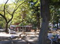 賃貸ブログ　大塚公園はご存知ですか？