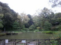 賃貸ブログ　人気の田園都市線　藤ヶ丘・青葉台物語パート2　一戸建て編