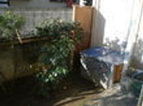 賃貸ブログ　賃貸でも専用庭が欲しい、ジェットバスも欲しい方ありました、富士見台2Ｋです。