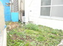 賃貸ブログ　大塚・西巣鴨・庚申塚　1Ｋバストイレ別　専用庭+屋上(物干し用）もあります