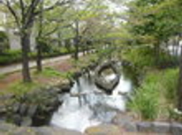 賃貸ブログ　ヴィンテージな一戸建・水と緑と公園の街・ズバリ一之江境川親水公園