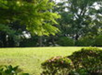 賃貸ブログ　松戸編　戸定が丘歴史公園近くのテラスハウス