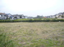 賃貸　ブログ　ひばりヶ丘　緑濃き環境