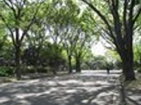 賃貸　ブログ　駒沢公園まですぐ！2DK振分け