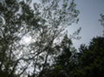 賃貸ブログ復活　城北エリアの田園調布と呼ばれています常盤台