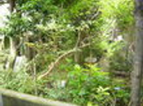 賃貸　ブログ　いつかは住みたい目白編