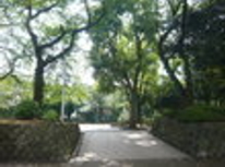 賃貸ブログ　池袋・北池袋・板橋　1ＤＫ（オーナー仕様）