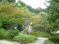 賃貸　ブログ　目白庭園に住むには！？