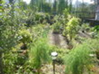 賃貸ブログ　目白/雑司ヶ谷/護国寺　都心のオアシス編　畑もあります！？