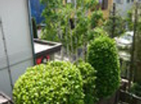 賃貸ブログ　中央線　高円寺駅・阿佐ケ谷駅編