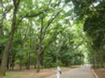 賃貸ブログ　成増・光が丘公園　ロフトにも収納あり