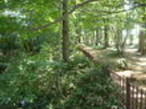 賃貸ブログ　野火止用水グリーンロード編（小川駅・東大和市駅）