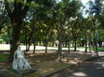 賃貸ブログ　王子は桜だけではありません　