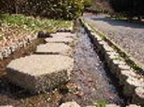 賃貸ブログ成増　光が丘公園　公園のある街に住もう　地下鉄成増・東上線成増