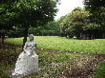 樹木の緑があふれる公園　北区中央公園