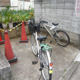  その他の写真