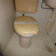 その他の写真