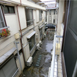  その他の写真
