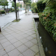  その他の写真  