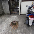  その他の写真
