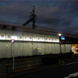  その他の写真