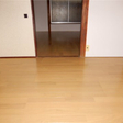  その他の写真