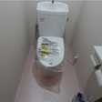  その他の写真