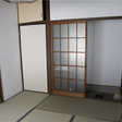  その他の写真