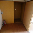  その他の写真