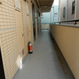  その他の写真